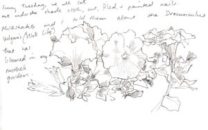 Blog | Lily Mae Martin